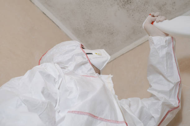Professional Mold Remediation in Gardendale, AL